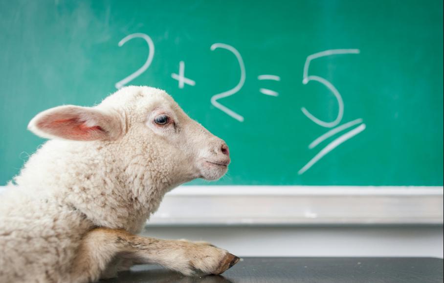 Média et fact checking : “Nous sommes persuadés que les citoyens veulent reprendre la main sur leurs connaissances et leur esprit critique”