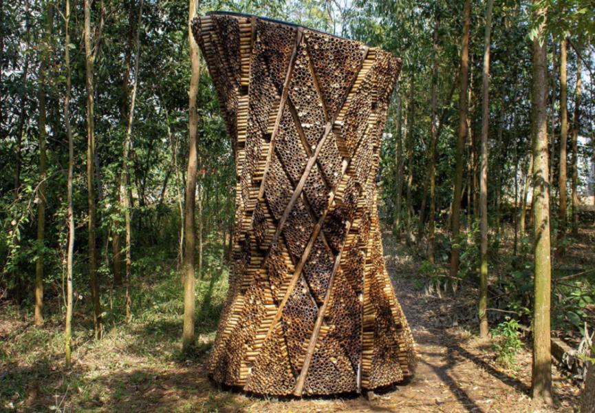 Innovation et transformation : le bambou, un acteur incontournable de la climatisation du futur ( sachant que le futur est déjà là )