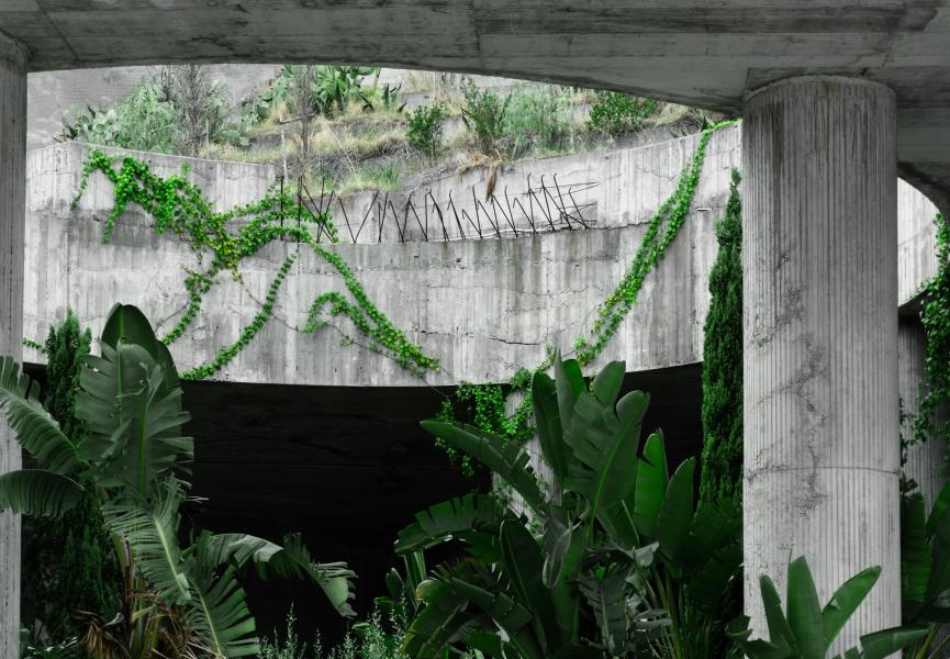 Urbanisme : du béton positif comme puit carbone dans les villes