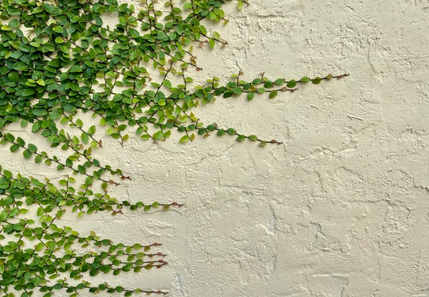 Entreprise : l’évolution incontournable est celle de la régénération. Tout le reste n’est qu’idéologie boiteuse…