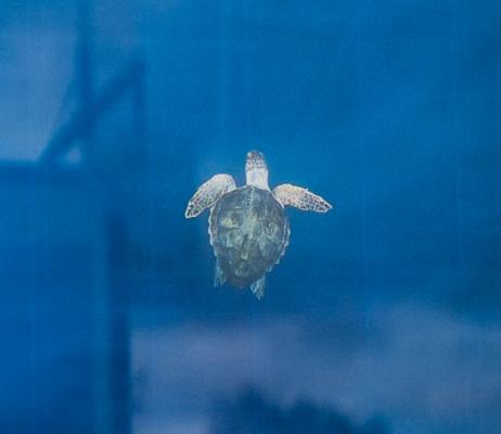Ocean Days : un festival qui démontre pourquoi les marques doivent s’engager autrement pour la transition écologique